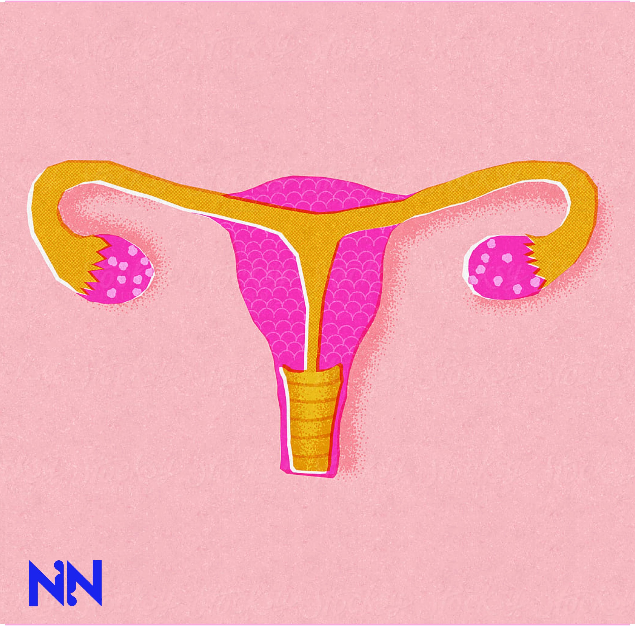 Am I in Perimenopause? - NNABI